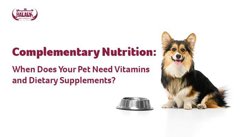 Complementary Nutrition: When Does Your Pet Need Vitamins and Dietary Supplements?